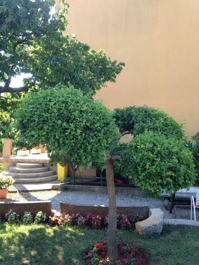 Apartment Aleksandra مالينسكا المظهر الخارجي الصورة